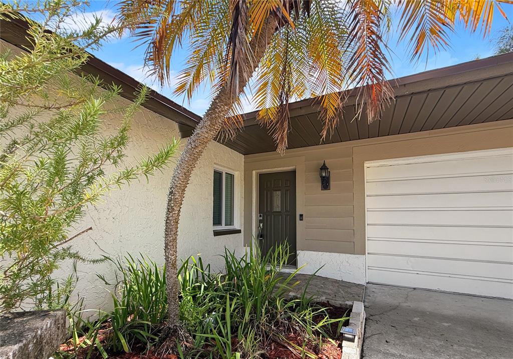 A house exterior features a brown front door, a white garage door, and a palm tree — 1583 REDWOOD AVENUE, DUNEDIN, FL