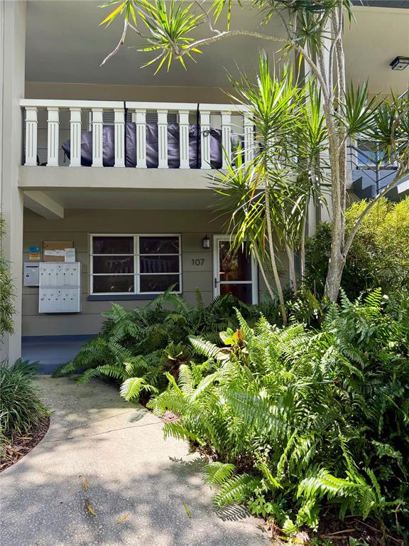 A ground-level apartment entrance with a walkway, lush ferns, and a balcony above — 450 32ND AVE N UNIT 107W, ST PETERSBURG, FL