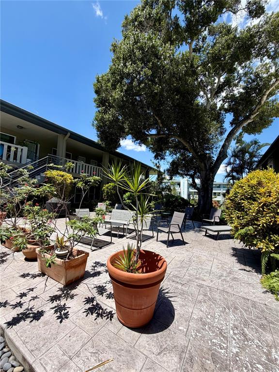 A patio with potted plants, outdoor furniture, and a large tree beside a multi-story building — 450 32ND AVE N UNIT 107W, ST PETERSBURG, FL