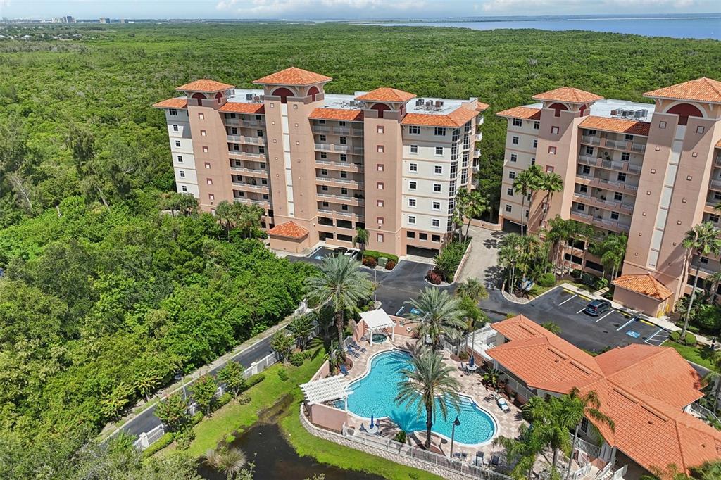 An aerial view shows two multi-story apartment buildings with a swimming pool and surrounding forest — 12033 GANDY BOULEVARD N UNIT 145, ST PETERSBURG, FL