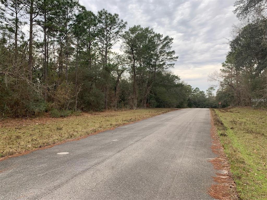 An asphalt road stretches forward flanked by grassy shoulders and a dense forest — 156 ST, OCALA, FL