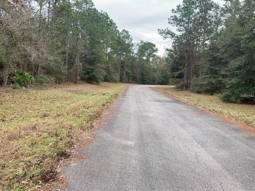 A paved road winds through a wooded area with trees on both sides — 156 ST, OCALA, FL