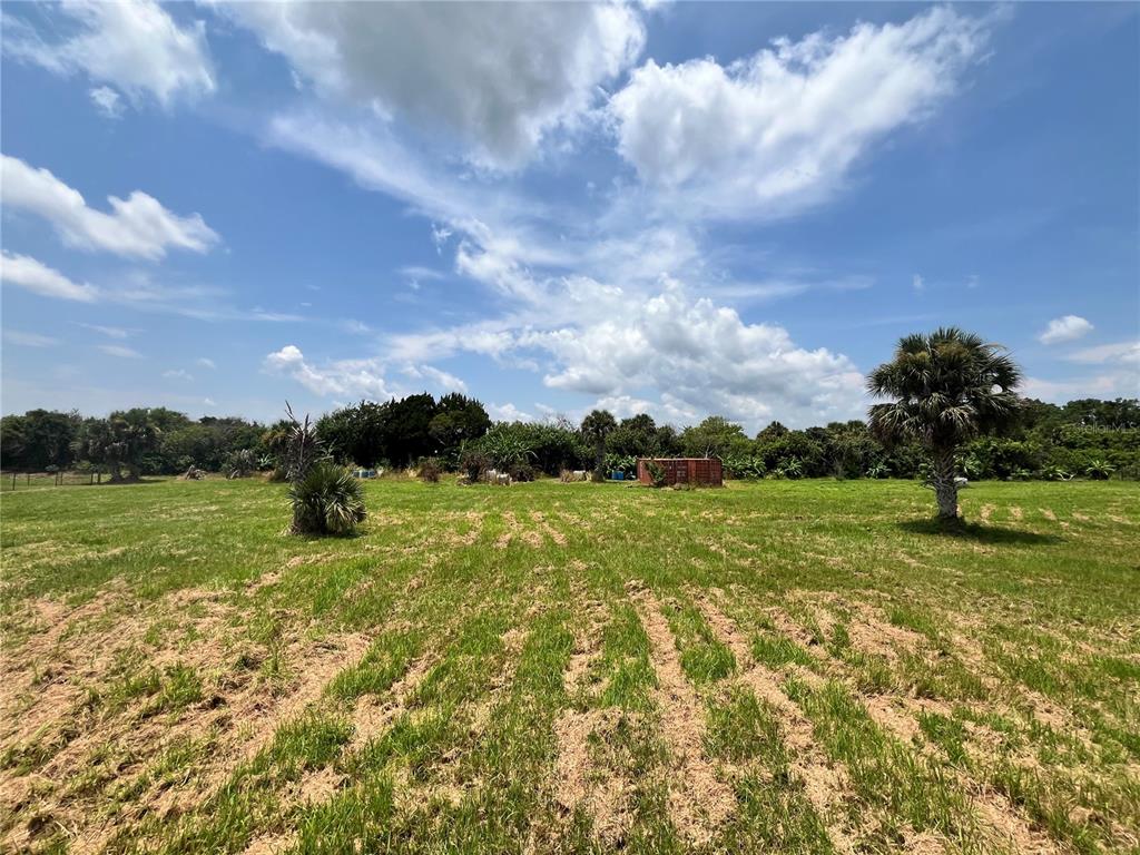A large, grassy field features scattered palm trees and a small storage container under a sky — 3832 SERENITY LANE, MIMS, FL