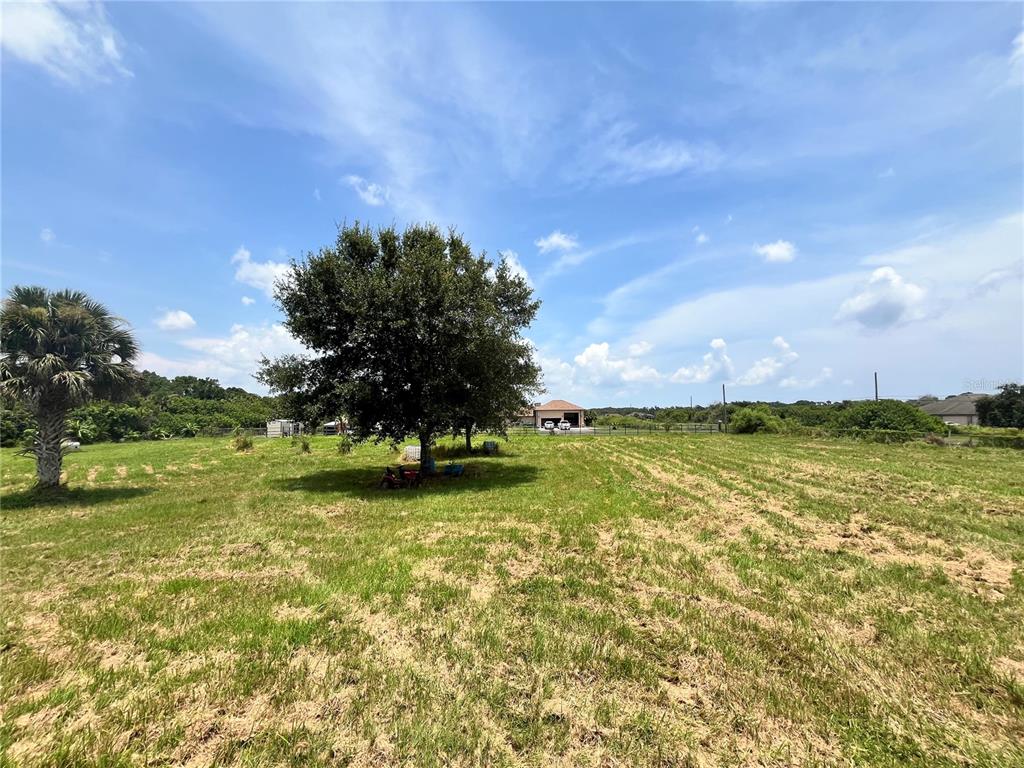 A large, grassy, open field features a prominent tree and a distant house — 3832 SERENITY LANE, MIMS, FL