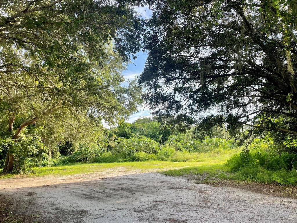 ALBEE FARM ROAD, VENICE, FL — photo 3 of 6