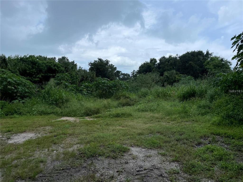 ALBEE FARM ROAD, VENICE, FL — photo 4 of 6