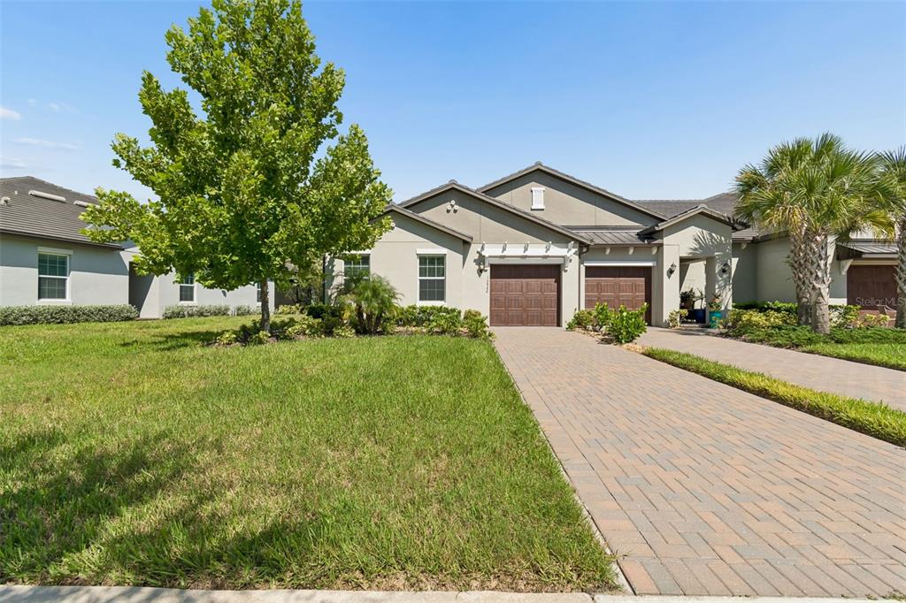 A single-story house with a paved driveway, two garage doors, and a large front tree — 16842 FORGE SURF STREET, LAND O LAKES, FL