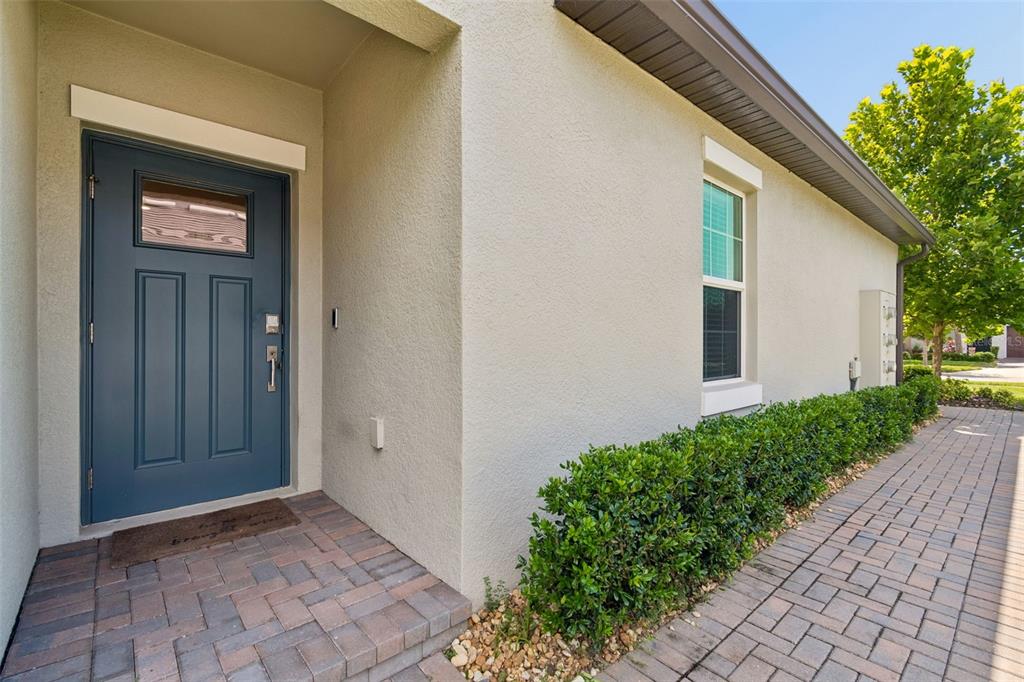 A blue front door opens onto a paved walkway beside a manicured hedge — 16842 FORGE SURF STREET, LAND O LAKES, FL
