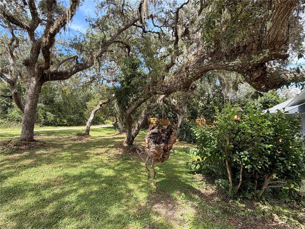 1077 SE 170TH COURT, SILVER SPRINGS, FL — photo 2 of 30