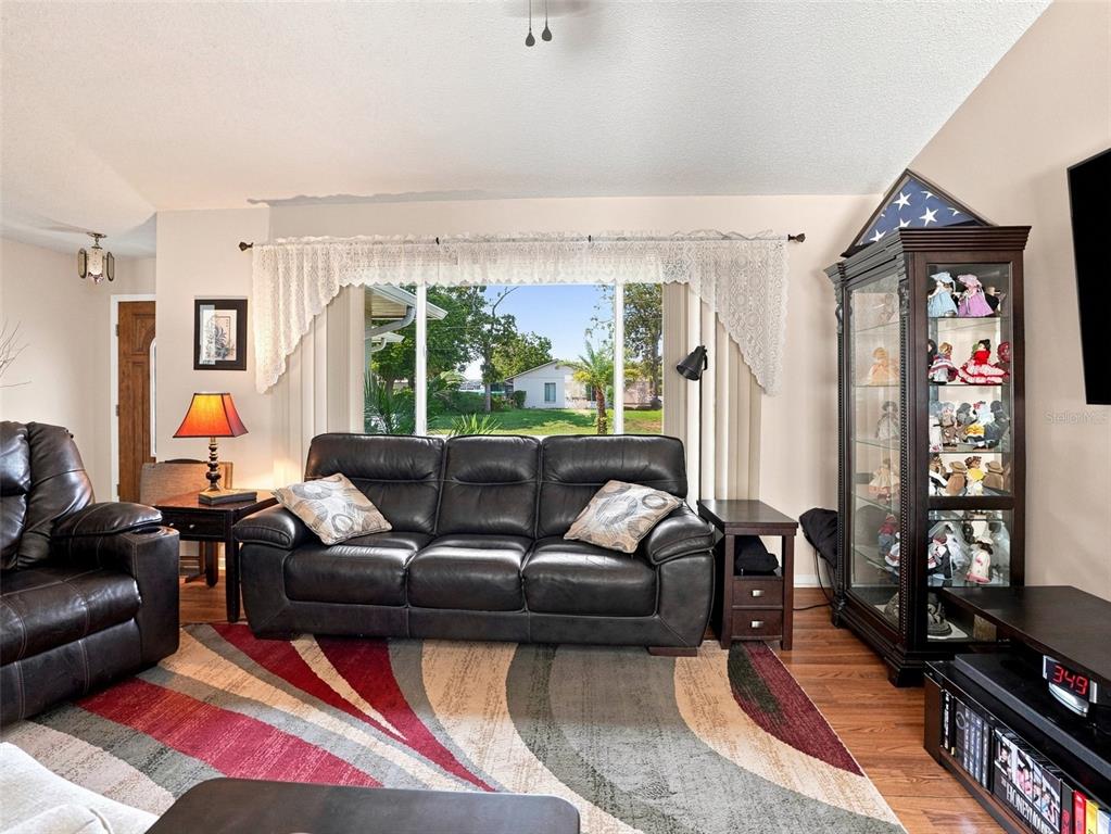 A living room features a dark leather sofa, a patterned area rug, and a display cabinet — 4382 MONTANO AVENUE, SPRING HILL, FL