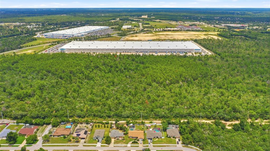 An aerial view shows a residential street in the foreground bordering a large wooded area — WOLVERINE (PAPER) AVENUE, DELTONA, FL