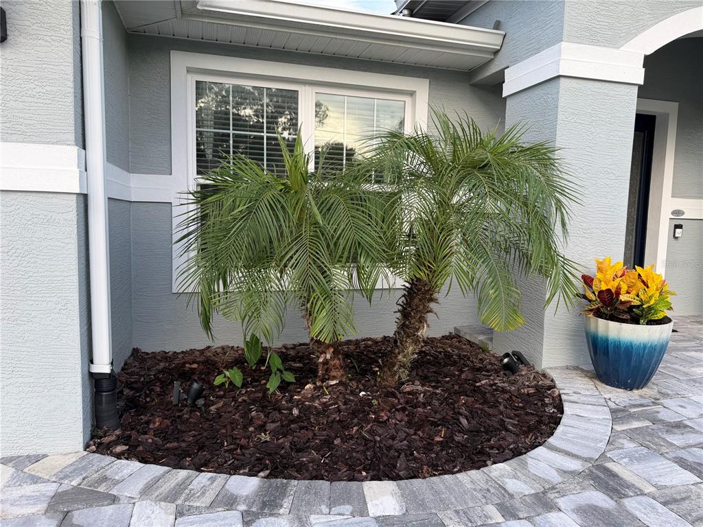4 LINCOLN PLACE, PALM COAST, FL — photo 3 of 30