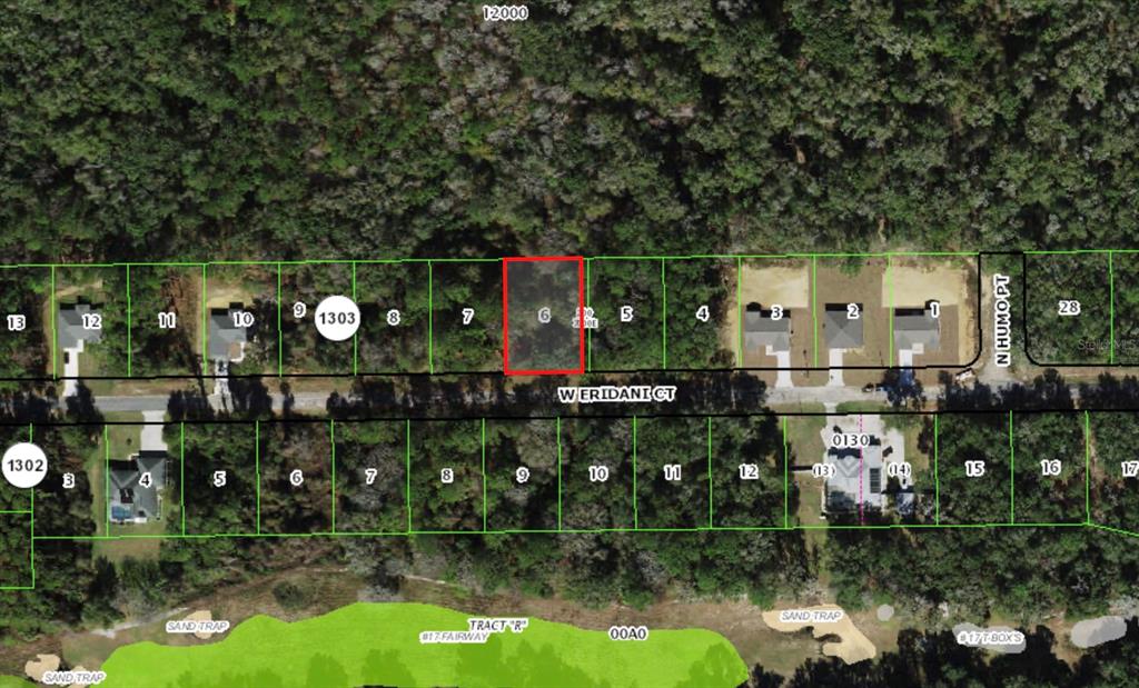 253 W ERIDANI COURT, CITRUS SPRINGS, FL — photo 2 of 3
