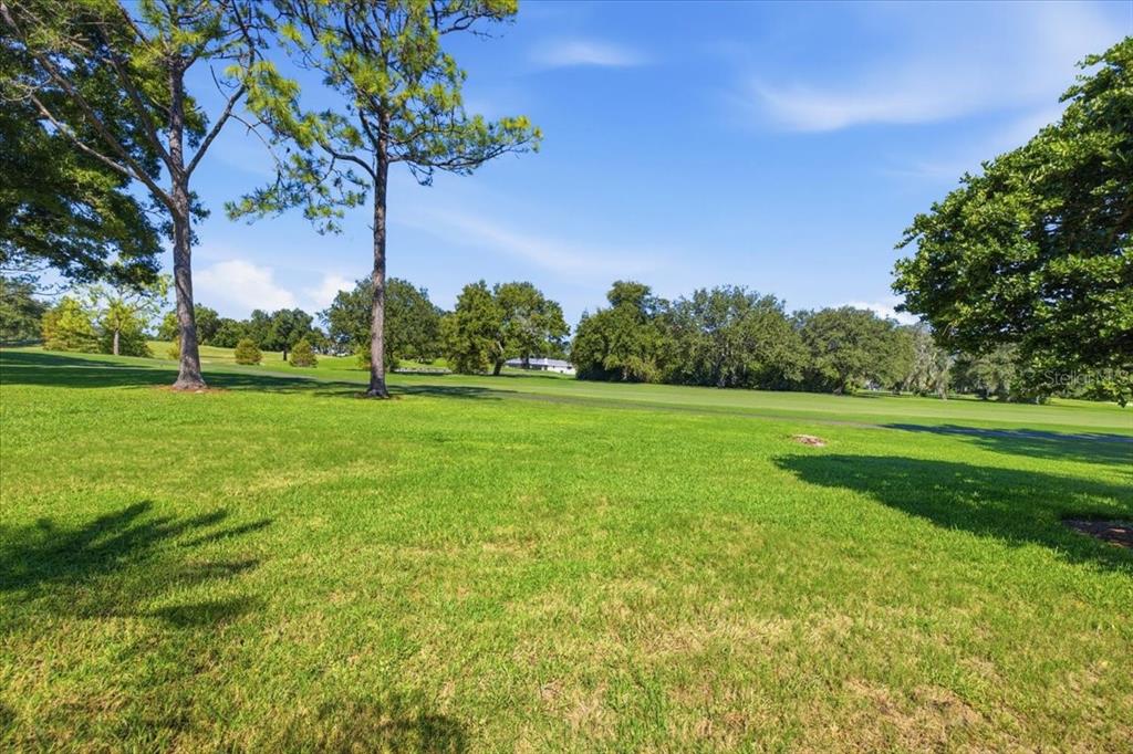 3168 MASTERS DRIVE, CLEARWATER, FL — photo 2 of 65