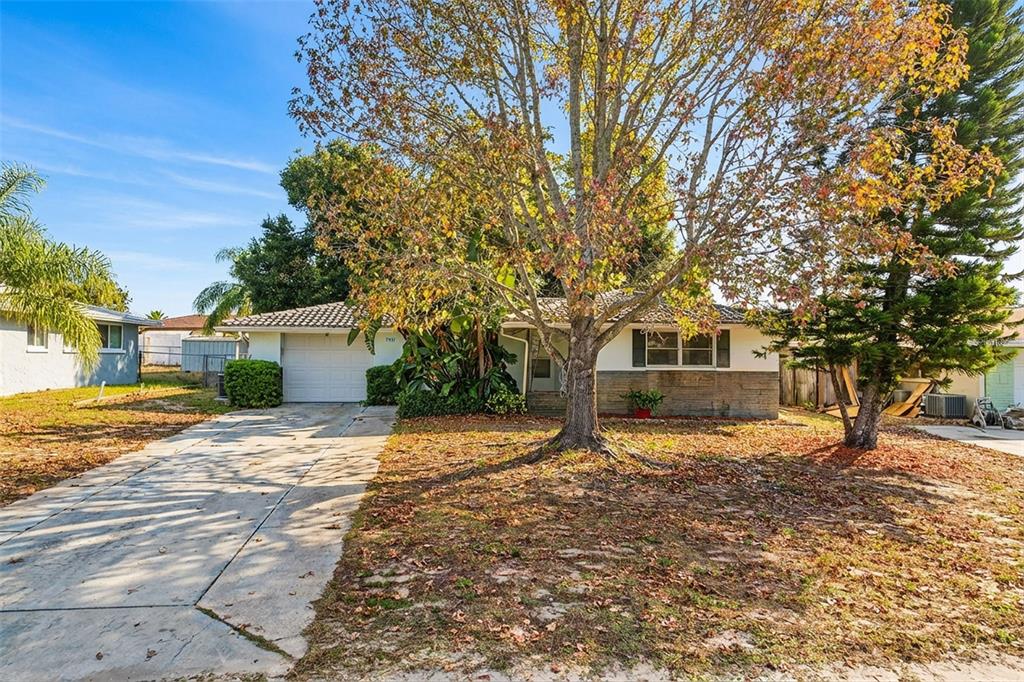 7931 LOTUS DRIVE
