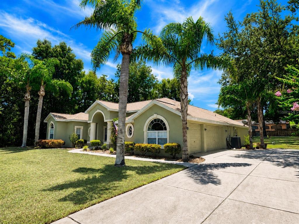 A single-story house with a light green exterior, palm trees, and a concrete driveway — 7552 RIVER COUNTRY DRIVE, WEEKI WACHEE, FL