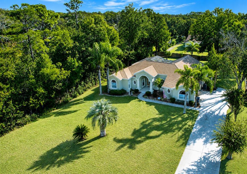 An aerial view of a single-story house with a driveway and surrounding trees — 7552 RIVER COUNTRY DRIVE, WEEKI WACHEE, FL
