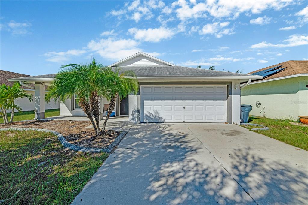 2018 PEACEFUL PALM STREET