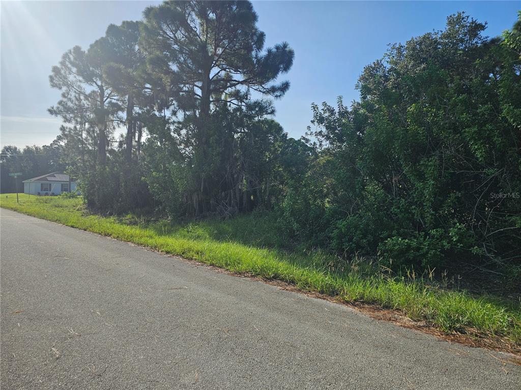 A paved road runs alongside a vacant, wooded lot with tall pine trees — 251 SUNBEAM COURT, LAKE PLACID, FL