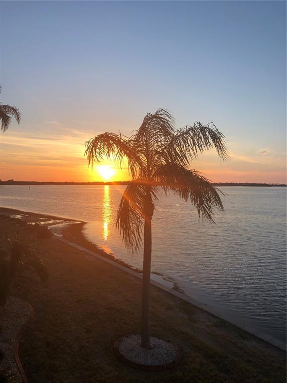 A palm tree stands on a grassy bank overlooking a lake at sunset — 7 DUNOON PLACE UNIT 203, DUNEDIN, FL