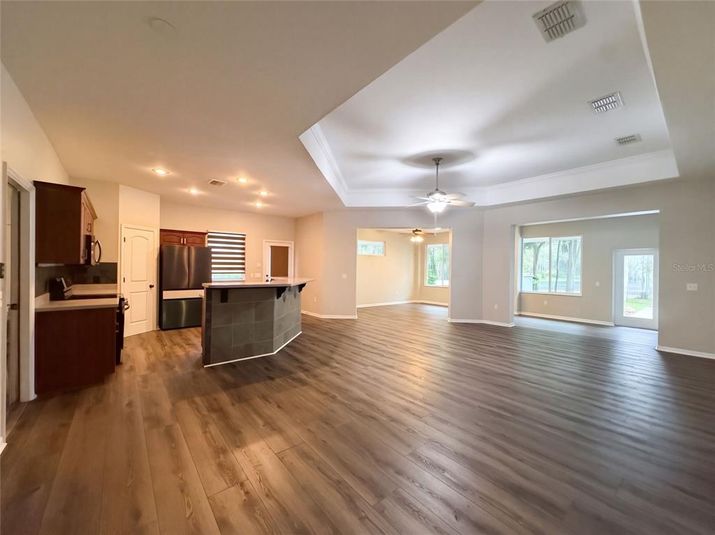 An open-concept kitchen and living area feature wood-look flooring, a tray ceiling, and stainless appliances — 219 WILLOW BEND PARKWAY, LUTZ, FL