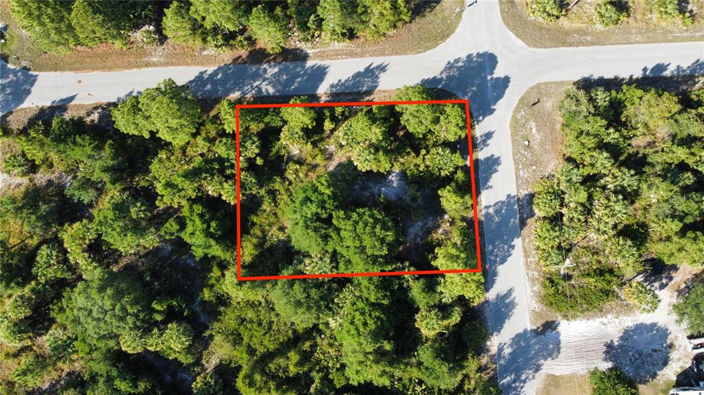 An aerial view shows a rectangular, wooded vacant lot outlined in red near a road intersection — PATIENCE AVE, NORTH PORT, FL