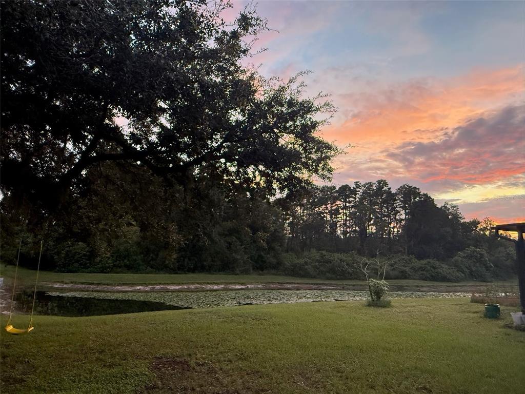 A grassy backyard features a pond, a hanging swing, and trees under a sunset sky — 5903 CAPE LOOP, LAND O LAKES, FL