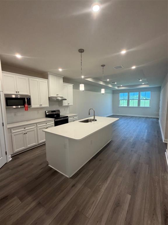 A kitchen features white cabinets, a quartz-topped island with a sink, and wood-look flooring — 18716 HIGHLAND DEW STREET, SPRING HILL, FL