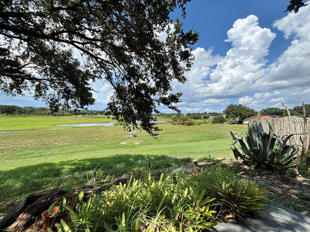 A view of a grassy backyard with a pond, large tree, and agave plant — 6473 LONG BREEZE ROAD, ORLANDO, FL