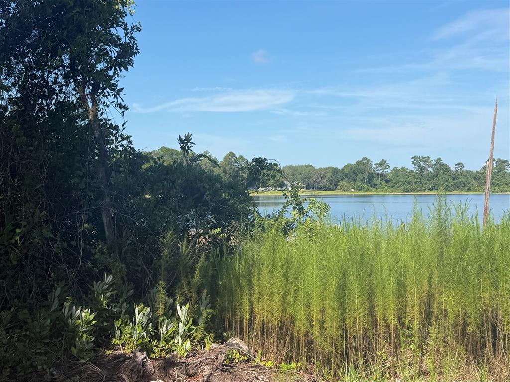 A view of a lake framed by tall green grasses and dense trees under a sky — TBD MALAUKA RADIAL, OCKLAWAHA, FL