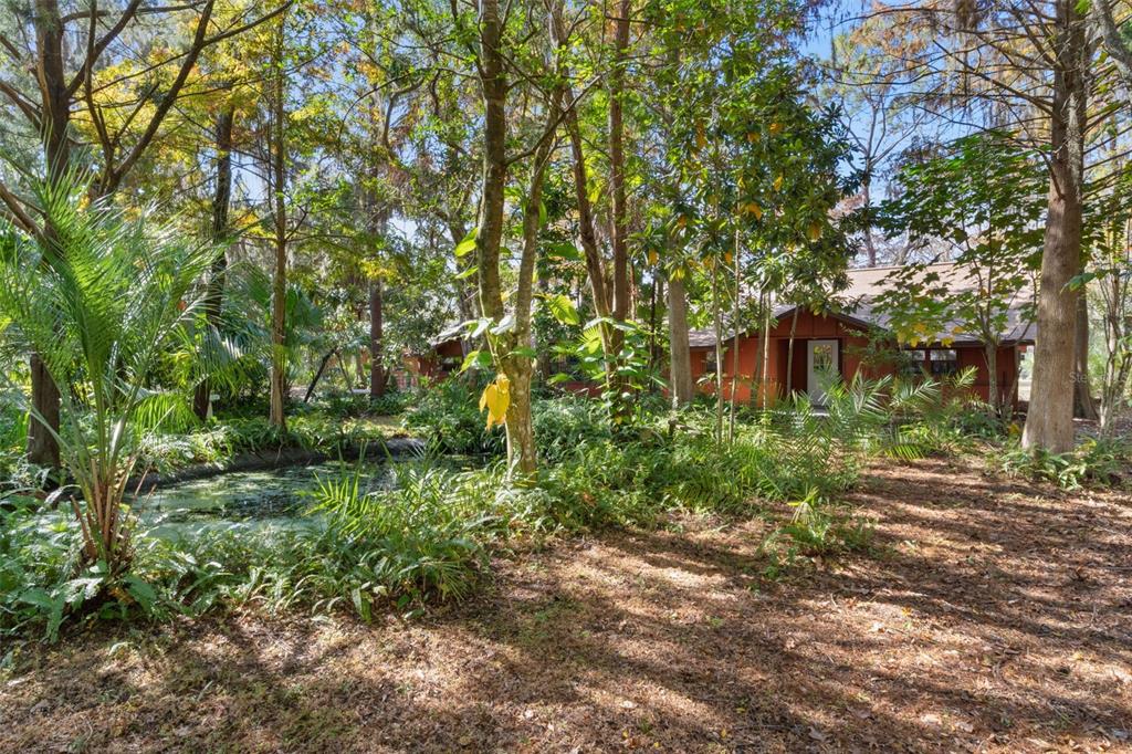 A red house sits nestled in a wooded landscape behind a small, algae-covered pond — 6250 & 5942 E C 478, CENTER HILL, FL