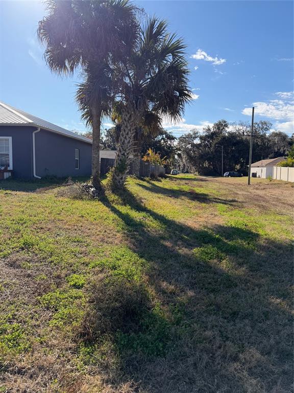 A vacant grassy lot features a large palm tree next to a gray house — 2904 JUNIPER DRIVE, EDGEWATER, FL