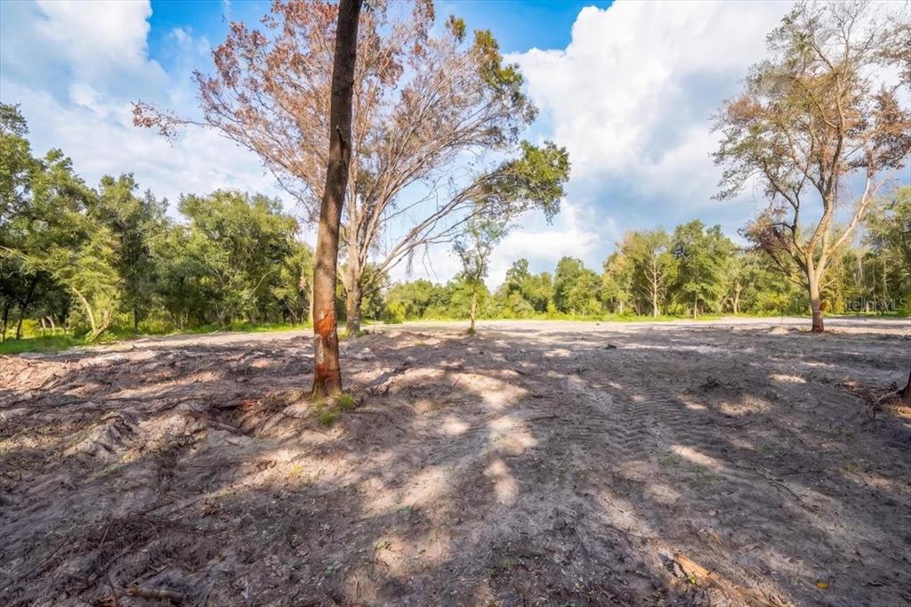 A cleared, sandy lot features several mature trees under a blue sky with clouds — GILL ROAD, MYAKKA CITY, FL