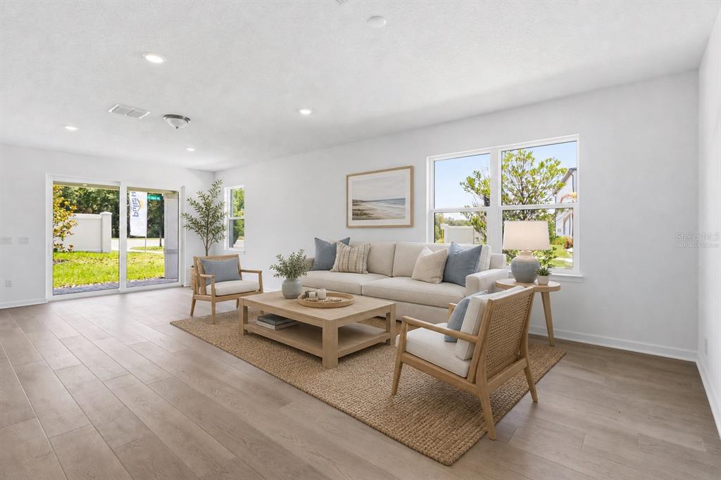 A living room features light wood flooring, a neutral sofa, two armchairs, and large windows — 13824 SUNLIGHT MEADOW DRIVE, RIVERVIEW, FL