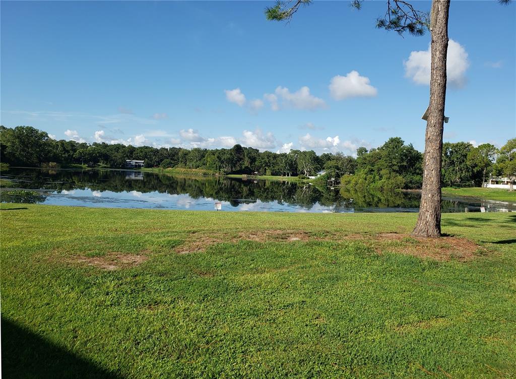 A grassy lawn slopes down toward a calm lake surrounded by dense trees — 22706 GAGE LOOP UNIT 33, LAND O LAKES, FL