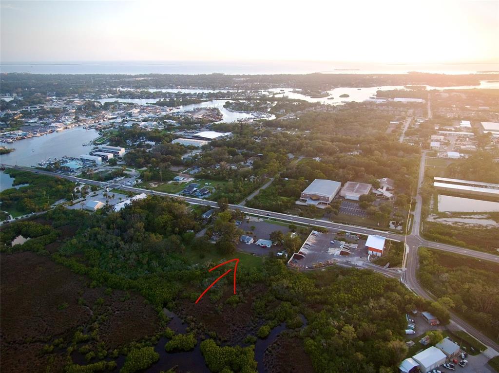 A white, single-story house with a gravel yard and palm trees under a blue sky — 1322 N PINELLAS AVENUE, TARPON SPRINGS, FL