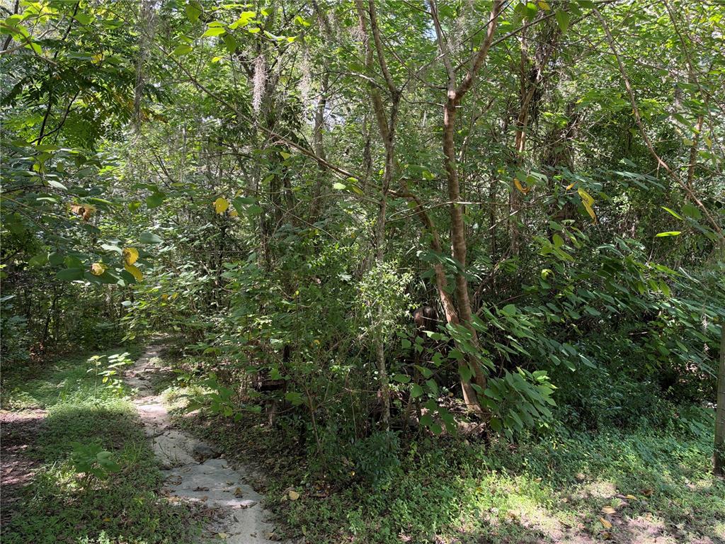 0 SE  118TH PLACE, BELLEVIEW, FL — photo 2 of 6
