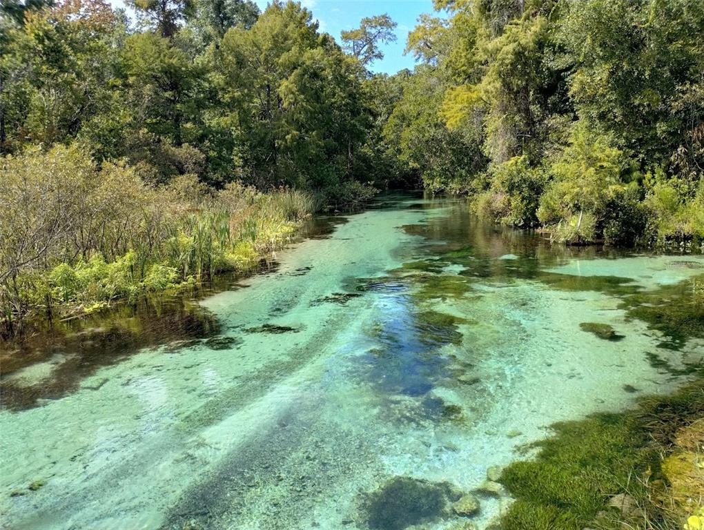 7071 MERTAL STREET, WEEKI WACHEE, FL — photo 3 of 9