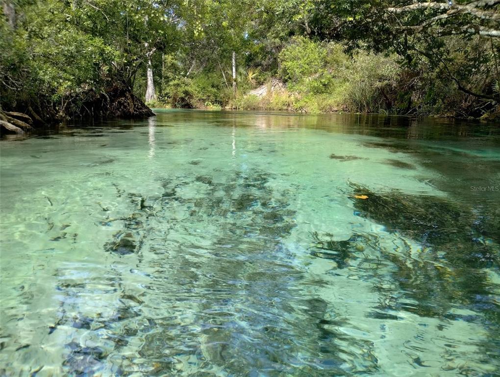 7071 MERTAL STREET, WEEKI WACHEE, FL — photo 4 of 9
