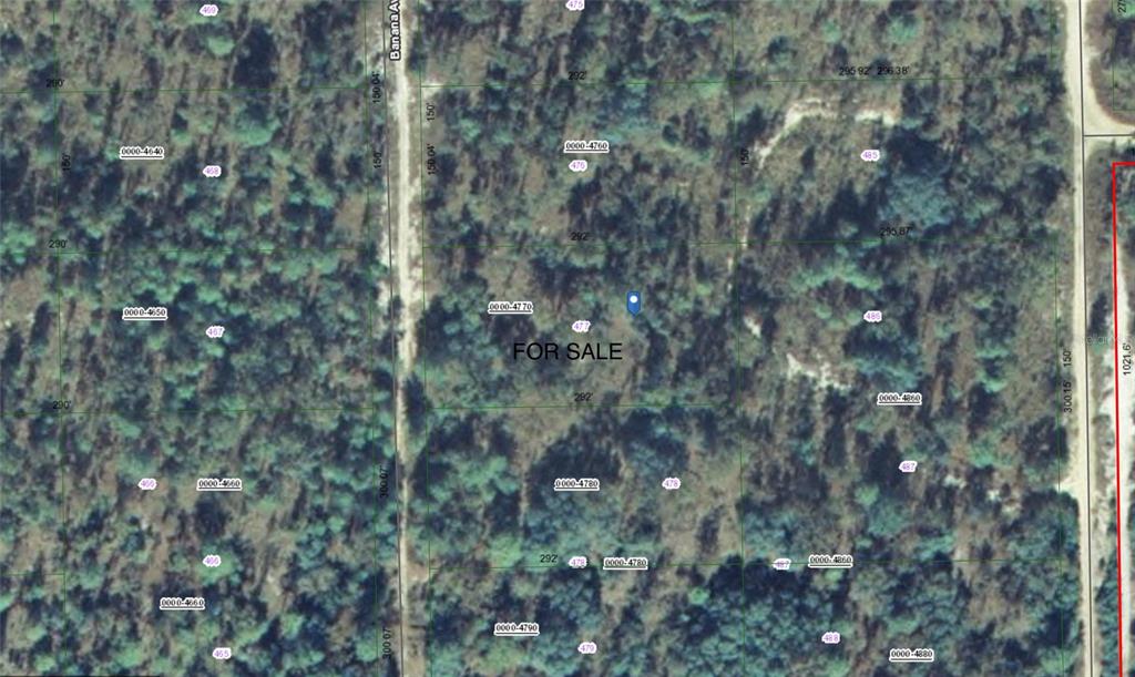 This is a satellite map showing a rectangular plot of land for sale — 127 E SATSUMA STREET, PALATKA, FL