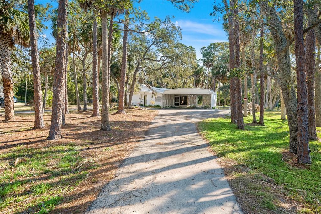 A long driveway leads to a white house with a carport surrounded by many trees — 1524 INDIAN BAY ROAD, HERNANDO BEACH, FL