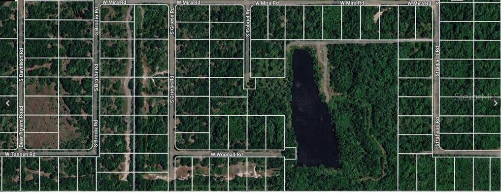 This is an aerial map view of a wooded residential area with a central lake — 3000 W WOODALL ROAD, AVON PARK, FL