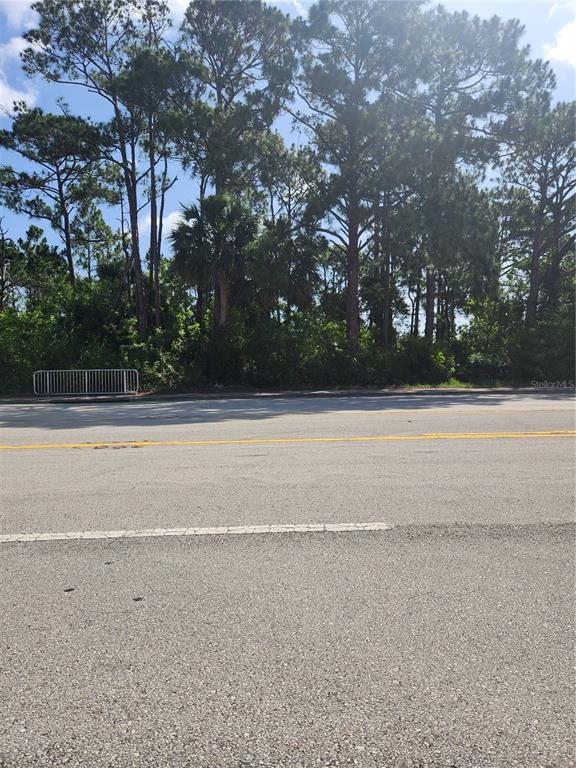 A paved road runs in front of a wooded lot with tall pine trees — S NOVA ROAD, PORT ORANGE, FL