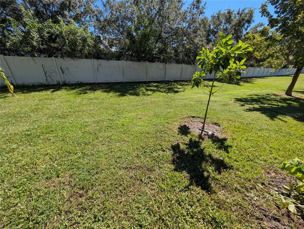 2203 CHATHAM PLACE DRIVE, ORLANDO, FL — photo 5 of 29