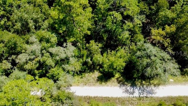 An aerial view shows a dirt road running through a dense, wooded forest area — 0 NE 138TH TERRACE, WILLISTON, FL