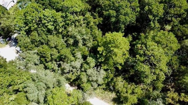 An aerial view shows a densely wooded lot with a small portion of a driveway — 0 NE 138TH TERRACE, WILLISTON, FL