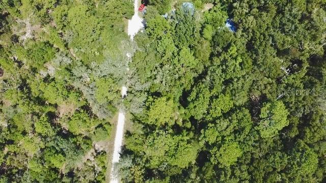 An aerial view shows a dirt road running through a dense, wooded forest — 0 NE 138TH TERRACE, WILLISTON, FL