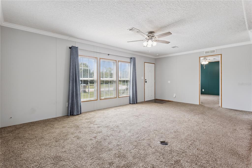 A living room features beige carpet, light gray walls, a ceiling fan, and three windows — 33525 LINDA DRIVE, LEESBURG, FL