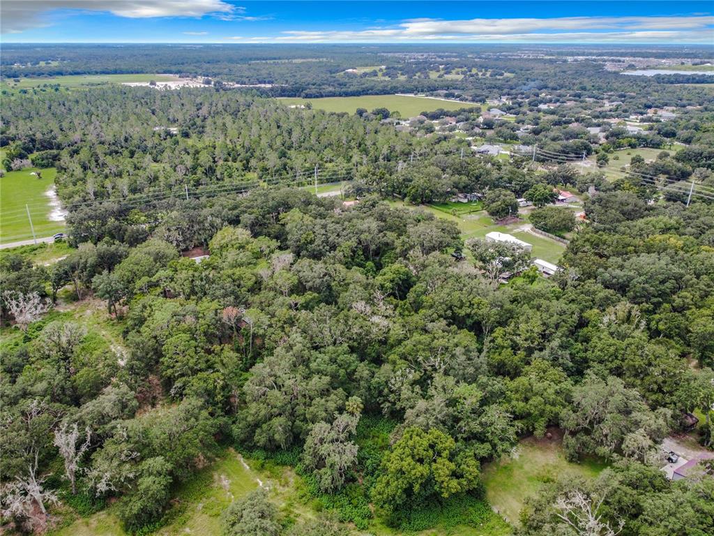 An aerial view shows a densely wooded lot surrounded by residential properties and open fields — 16206 BOYETTE ROAD, RIVERVIEW, FL