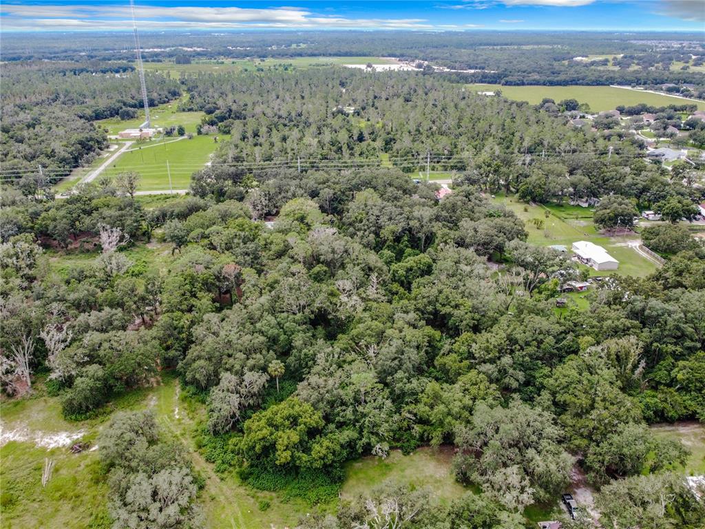 An aerial view shows a densely wooded lot surrounded by grassy fields and residential properties — 16206 BOYETTE ROAD, RIVERVIEW, FL